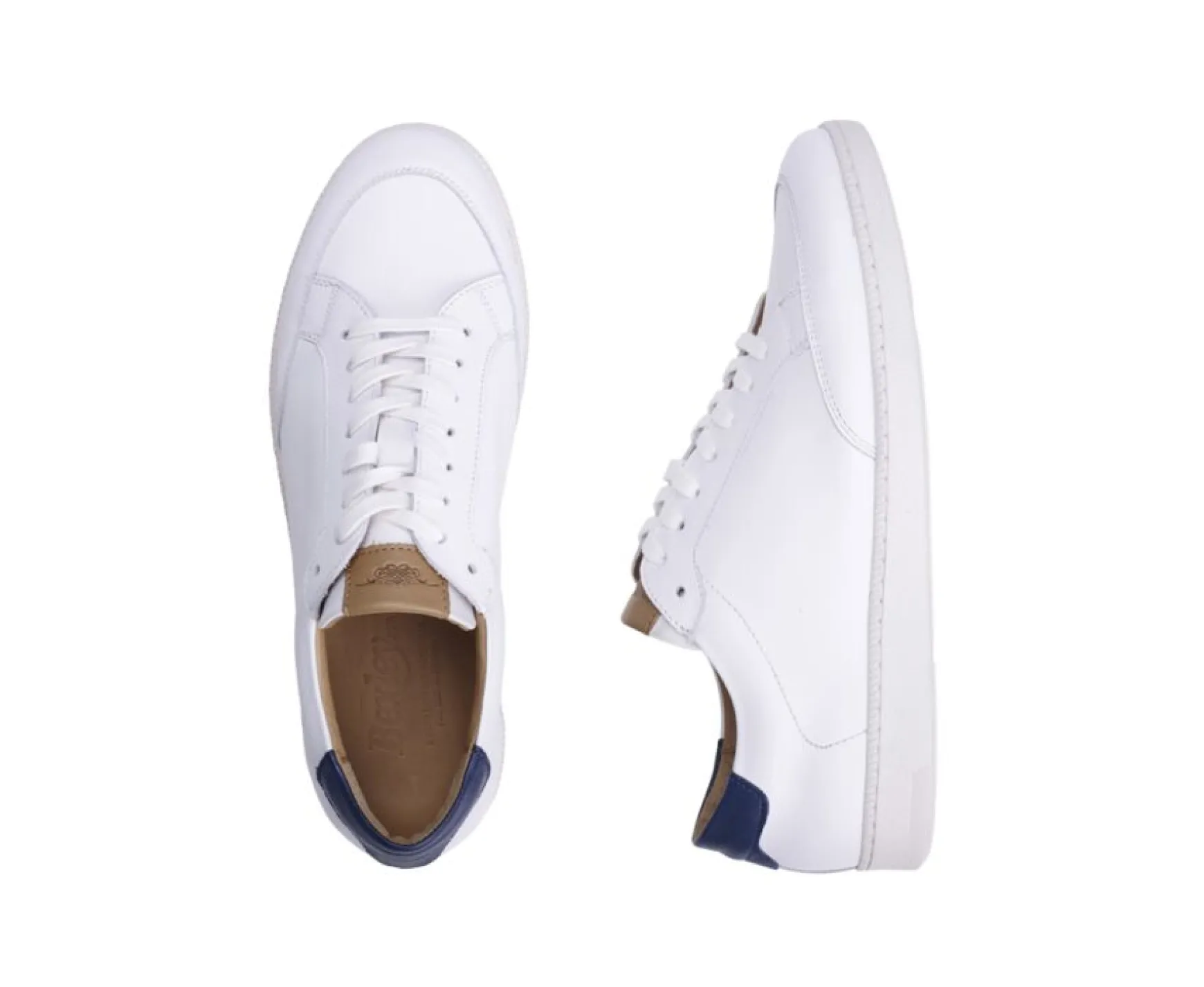 Bexley Trainers & Sneakers | Leather Trainers Canunda White